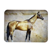 アクハルテケ マグネット (横)