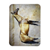 アクハルテケ マグネット (縦)