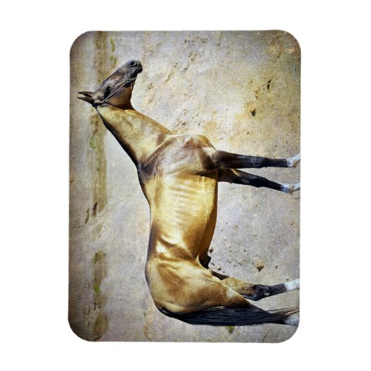 アクハルテケ マグネット (縦)