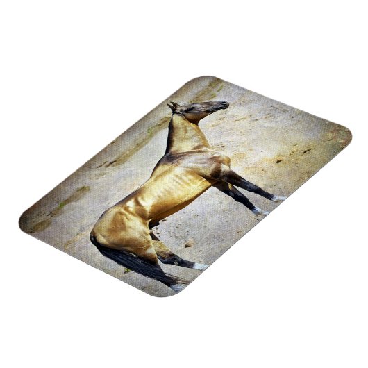 アクハルテケ マグネット (左側)