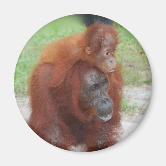 アクマドと男の赤ちゃん マグネット (正面)