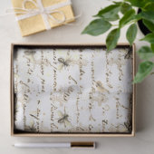 アクラシカルートエフェメラ 薄葉紙 (ギフト)