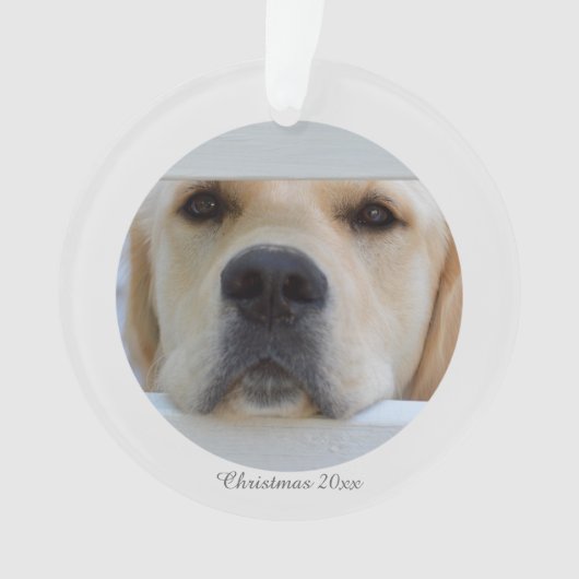 アクリルのクリスマスの写真のオーナメント オーナメント (正面)