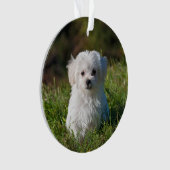 アクリルのクリスマス装飾を作る-ピック/文字 オーナメント (正面)