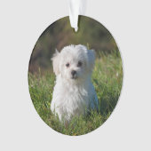 アクリルのクリスマス装飾を作る-ピック/文字 オーナメント (正面)