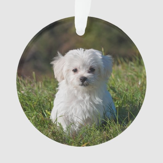 アクリルのクリスマス装飾を作る-ピック/文字 オーナメント (正面)