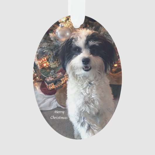 アクリルのメリークリスマスのオーナメント、かわいい犬 オーナメント (正面)