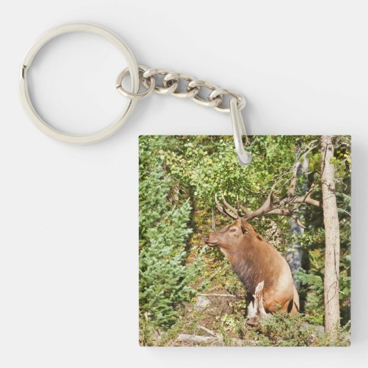 アクリルキーチェーン キーホルダー (正面)