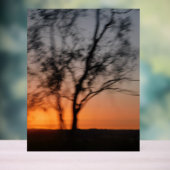 アクリルサインサンセットデザインスタイル アクリルサイン (ニュートラル)