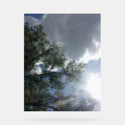 アクリルサインデザインスタイル青空 アクリルサイン (正面)