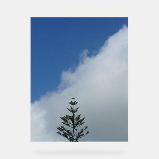 アクリルサインデザインスタイル青空 アクリルサイン (正面)