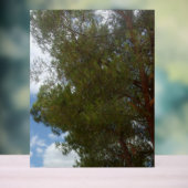 アクリルサイン写真デザイン アクリルサイン (ニュートラル)