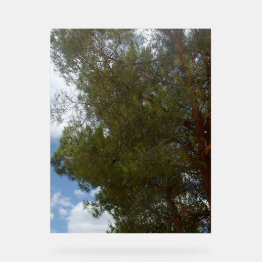 アクリルサイン写真デザイン アクリルサイン (正面)