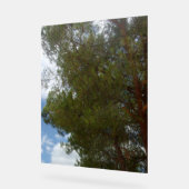 アクリルサイン写真デザイン アクリルサイン (傾斜)