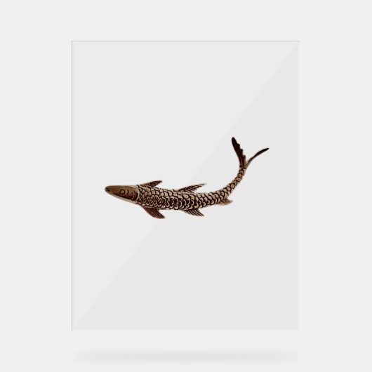 アクリルサイン魚類スタイルデザイン アクリルサイン (正面)