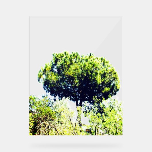 アクリルサイン (正面)