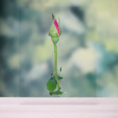 アクリルサインARTデザインスタイル アクリルサイン (ニュートラル)