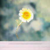 アクリルサインARTデザインスタイル アクリルサイン (ニュートラル)