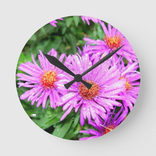 アクリル壁時計円形（中） 2 ラウンド壁時計 (正面)