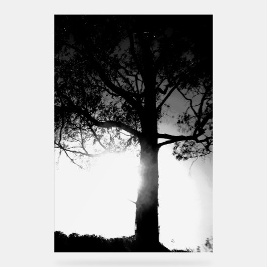 アクリル標識クールエコデザインスタイル アクリルサイン (正面)