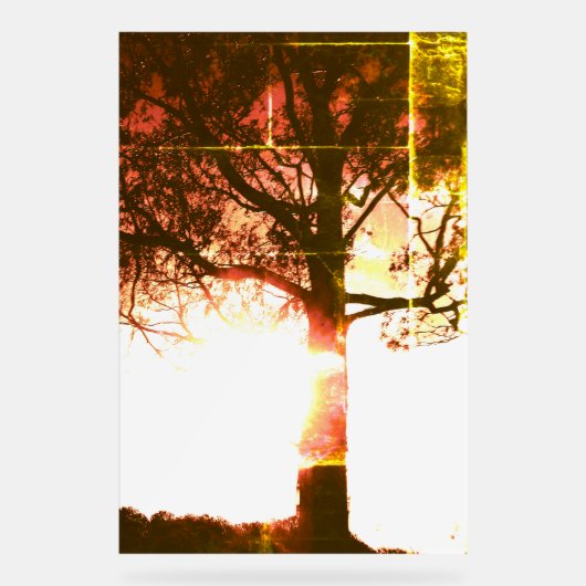 アクリル標識クールエコデザインスタイル アクリルサイン (正面)