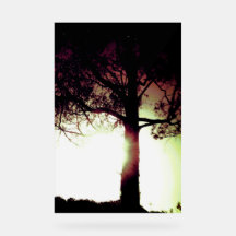 アクリル標識クールエコデザインスタイル