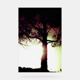 アクリル標識クールエコデザインスタイル アクリルサイン