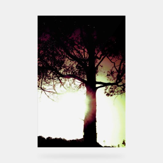 アクリル標識クールエコデザインスタイル アクリルサイン (正面)