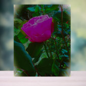 アクリル標識デザインスタイル アクリルサイン (ニュートラル)