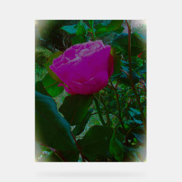 アクリル標識デザインスタイル アクリルサイン