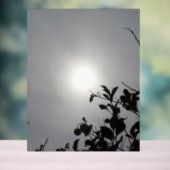 アクリル標識デザインスタイル アクリルサイン (ニュートラル)