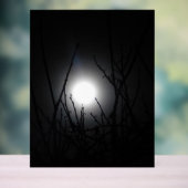 アクリル標識デザインスタイル アクリルサイン (ニュートラル)