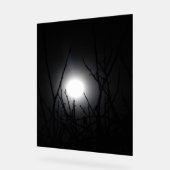 アクリル標識デザインスタイル アクリルサイン (傾斜)