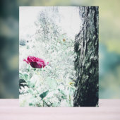 アクリル標識デザインスタイル アクリルサイン (ニュートラル)