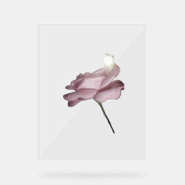 アクリル標識バラデザインスタイル アクリルサイン