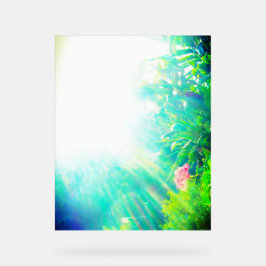 アクリル標識バラデザインスタイル アクリルサイン