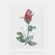 アクリル標識バラ芽デザインスタイル