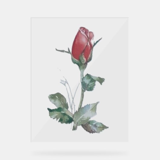 アクリル標識バラ芽デザインスタイル アクリルサイン (正面)