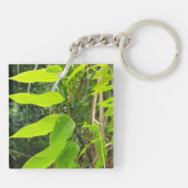 アクリル系キーチェーン自然環境 キーホルダー (裏面)