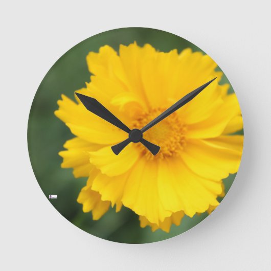 アクリル製壁時計円形（中）3 ラウンド壁時計 (正面)