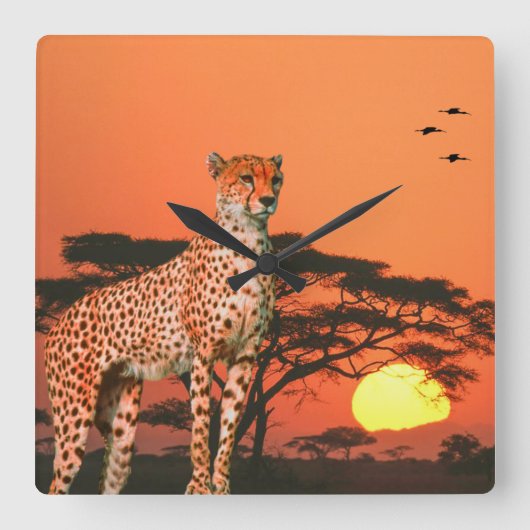 アクリル製壁時計 スクエア壁時計 (正面)