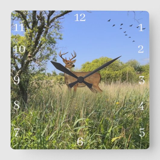 アクリル製壁時計 スクエア壁時計 (正面)