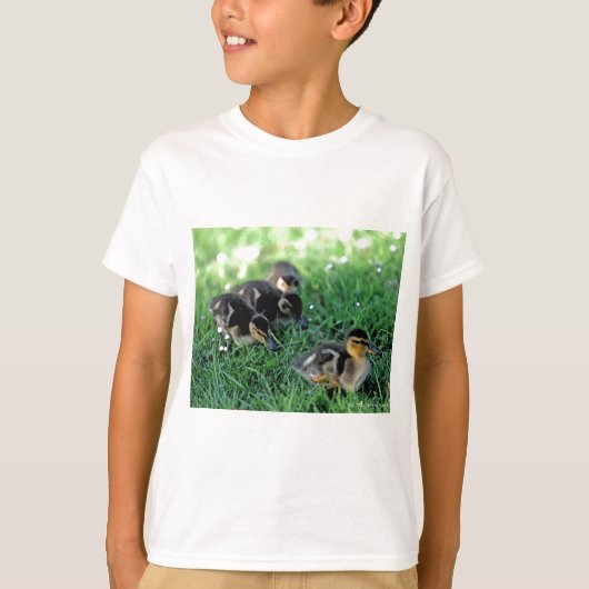 アクリングパレード Tシャツ (正面)