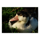 アクリング (正面横)