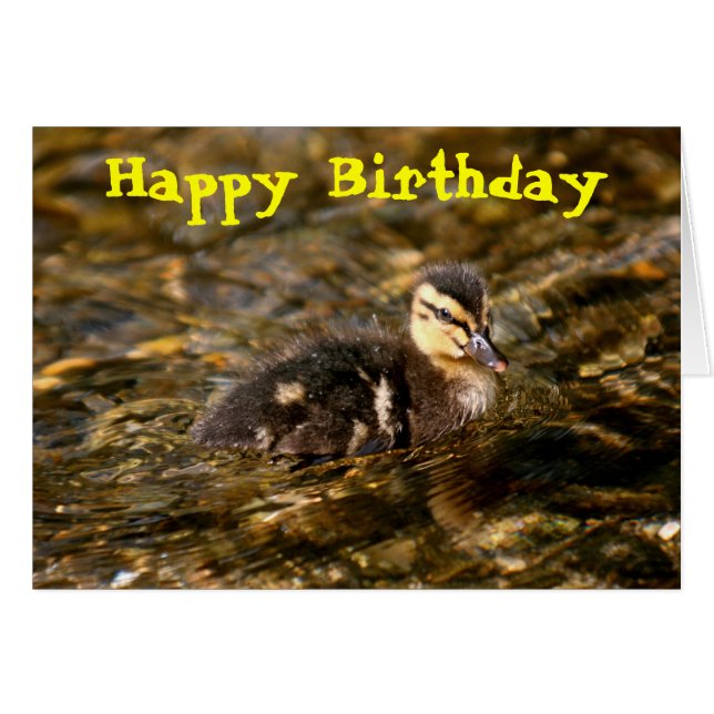 アクリング (正面横)