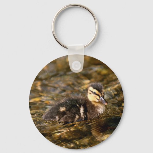 アクリング キーホルダー (正面)