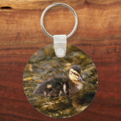 アクリング キーホルダー (正面)