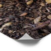 アクリング ポスター (角)