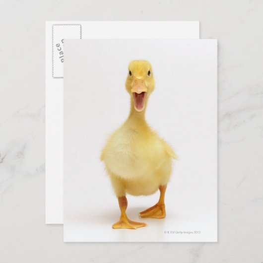 アクリング ポストカード (正面/裏面)