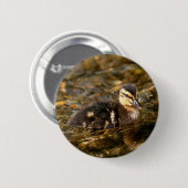 アクリング 缶バッジ (正面&裏面)